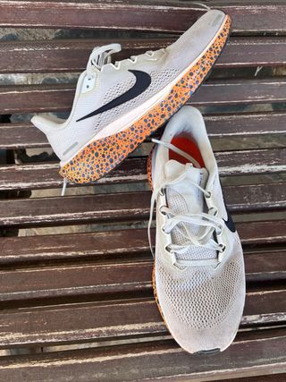 Zapatillas Nike Pegasus 41