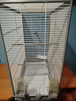 Jaula para Ninfas, Agapornis, periquitos,etc