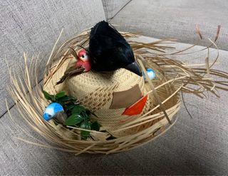 Disfraz espantapájaros Familiar (3 unidades)