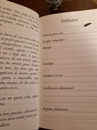 Il diario degli artefici - Copertina rigida