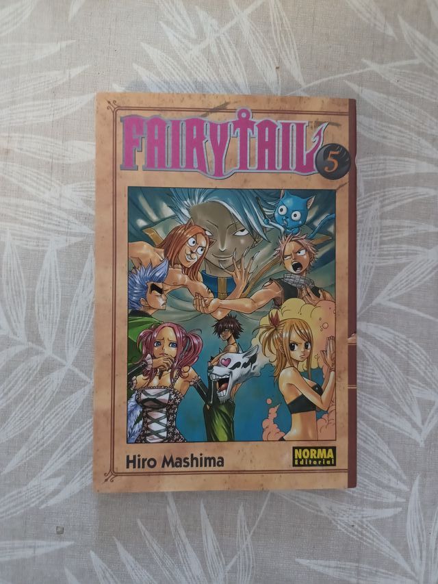 Fairy Tail 5
