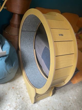 Rueda de ejercicio para gatos