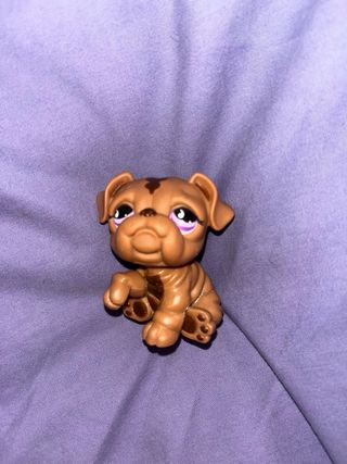 Lote 6 Littlest Pet Shop