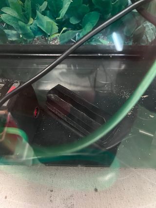 Acuario 60L