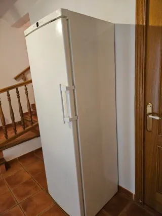 Congelador Liebherr GN 2866