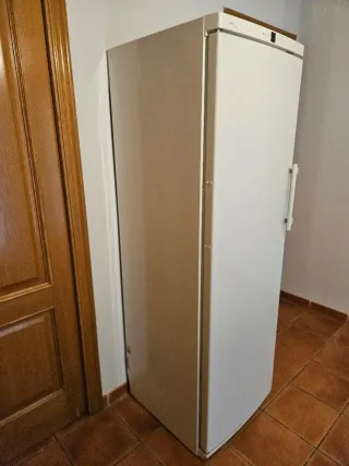 Congelador Liebherr GN 2866