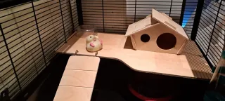 Jaula para hámster, cobaya, ratas