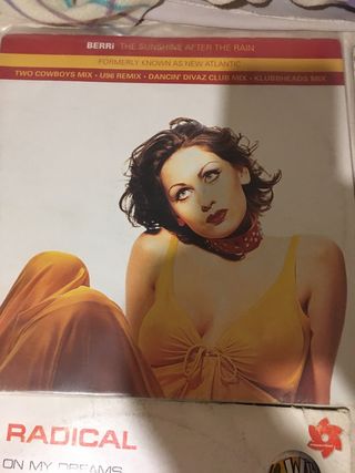 lote vinilos remember