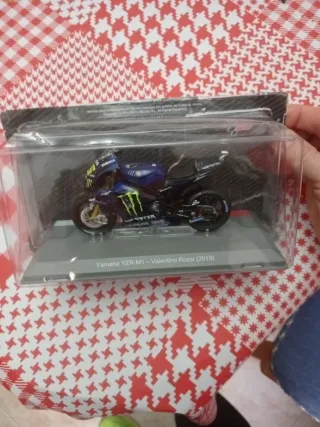 Moto GP Valentino Rossi 2019