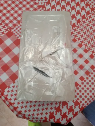 Moto GP Valentino Rossi 2019