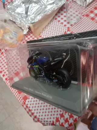 Moto GP Valentino Rossi 2019