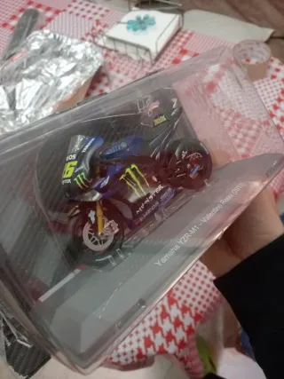 Moto GP Valentino Rossi 2019