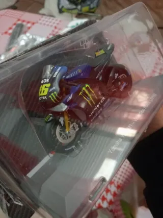 Moto GP Valentino Rossi 2019