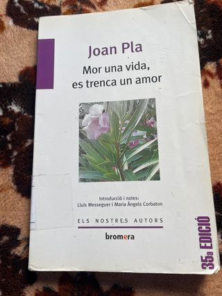 Mor una vida, es trenca un amor