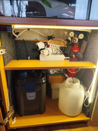 Acuario Blau 80 Curvo