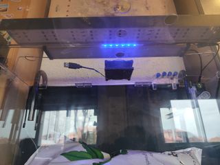 Acuario Blau 80 Curvo