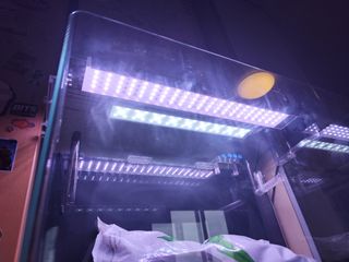 Acuario Blau 80 Curvo