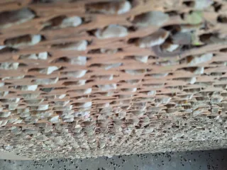 Trillo antiguo de madera