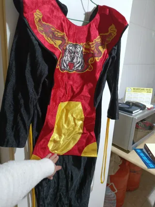 Disfraz tigre y dragón