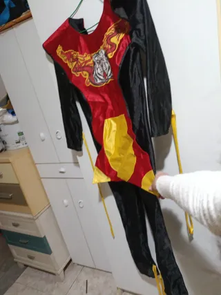 Disfraz tigre y dragón