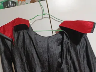 Disfraz tigre y dragón