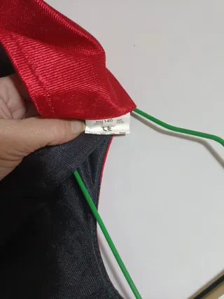 Disfraz tigre y dragón