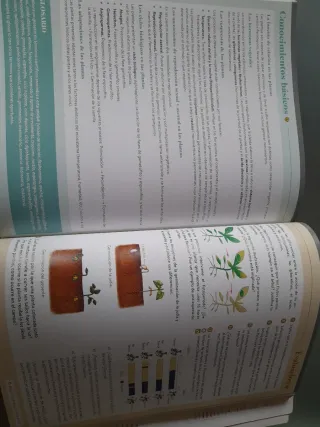 Biología, Geología y CC. Ambientales 1º Bachill...