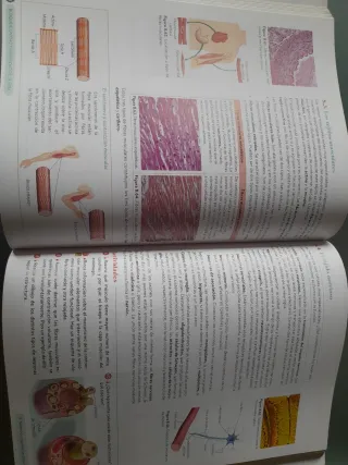 Biología, Geología y CC. Ambientales 1º Bachill...