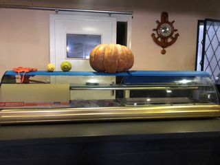 Vitrina expositora restaurante. Marca Comersa.