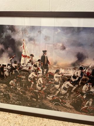 Cuadro decorativo militar lamina