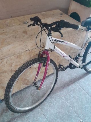 Bicicleta Montaña Infantil Ajustable