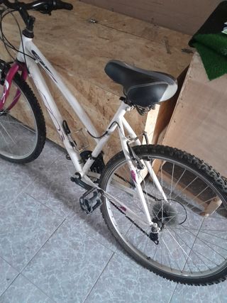 Bicicleta Montaña Infantil Ajustable