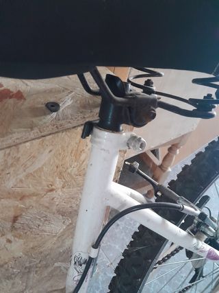 Bicicleta Montaña Infantil Ajustable