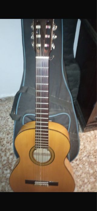Guitarra Alhambra 3f con funda