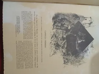 El ingenioso hidalgo Don Quijote de la Mancha gran