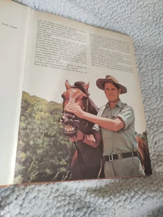 IL GRANDE LIBRO DI WOOBINDA