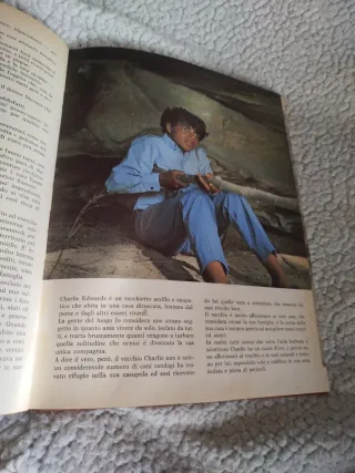 IL GRANDE LIBRO DI WOOBINDA