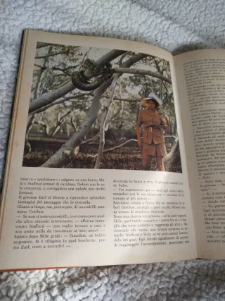 IL GRANDE LIBRO DI WOOBINDA