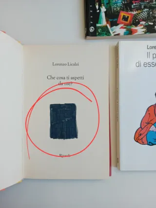 Lorenzo Licalzi 3 libri