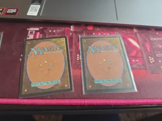 2x Hallowed Fountain - Magic The Gathering
