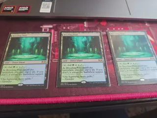 3x Breeding Pool - Magic The Gathering