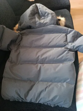 Cazadora Zara niño capucha pelo