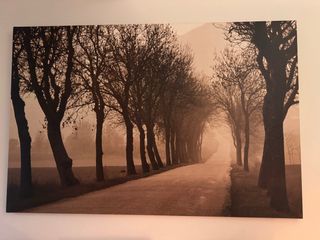 Cuadro Lienzo Árboles Carretera