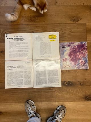 Lote 17 Vinilos Música Clásica