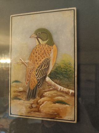 Pintura antigua alabastro pájaro naturalista