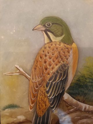 Pintura antigua alabastro pájaro naturalista