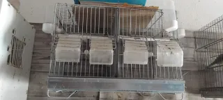 Lote Accesorios Pájaros Jaulas Nidos Bebederos