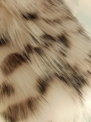 Abrigo de piel sin estrenar, de alta costura.