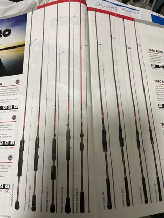 Caña Hart Toro Eging Fast 83.