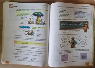 Lengua castellana 6, ISBN 9788430737963